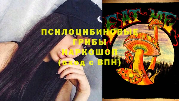 PSILOCYBIN Алексеевка