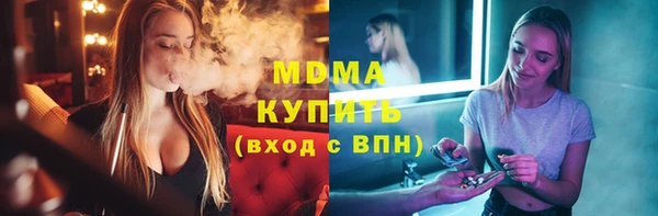 индика Алексин