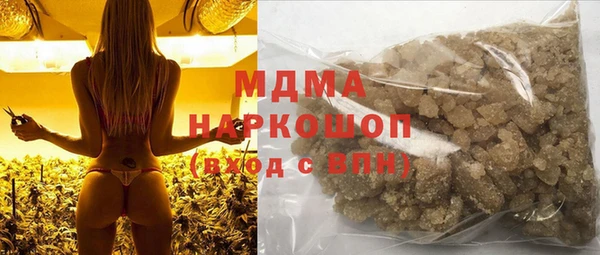 индика Алексин