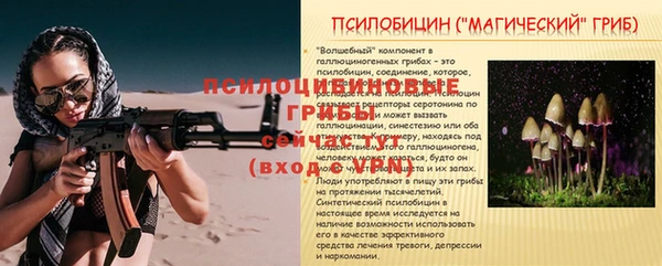 индика Алексин