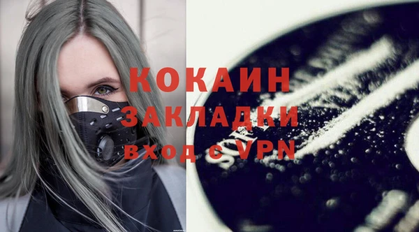 индика Алексин