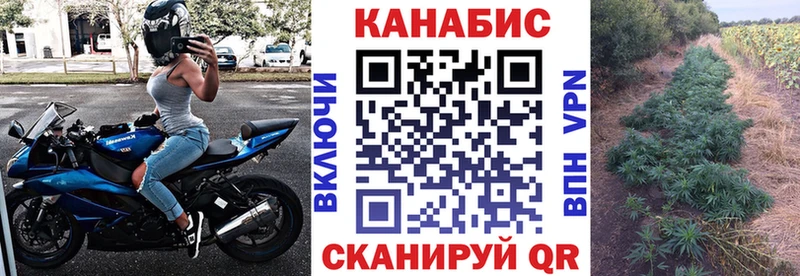 Конопля индика  Елец 